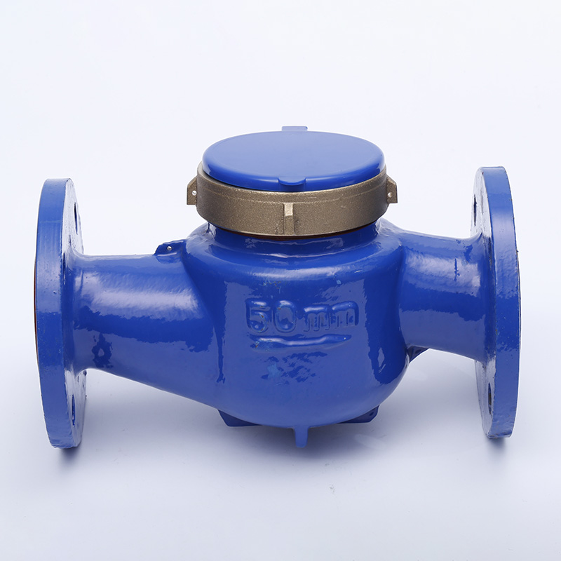 50mm Residential Multi Jet Water Meter သည် ရေစီမံခန့်ခွဲမှု စွမ်းဆောင်ရည်ကို မည်သို့တိုးတက်စေသနည်း။